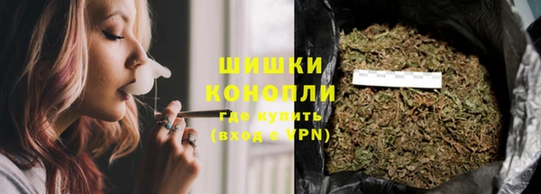индика Аркадак