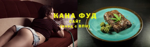 индика Аркадак