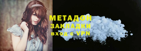 индика Аркадак