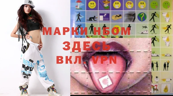 индика Аркадак