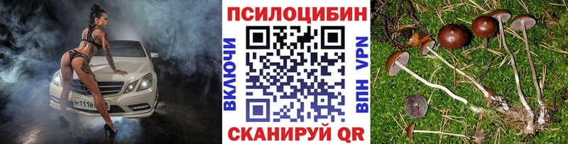 Галлюциногенные грибы прущие грибы  Купить закладки  Тогучин 